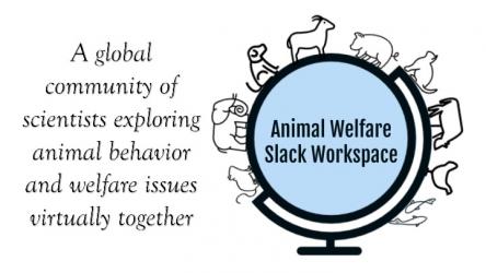 Applying Ethology